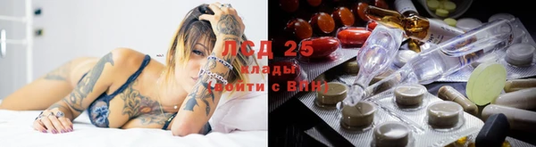 а пвп мука Алзамай