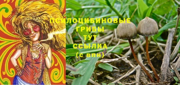 ешки Алексин