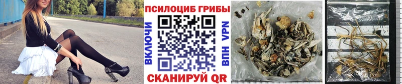 купить наркотики сайты  Томмот  Галлюциногенные грибы мицелий 